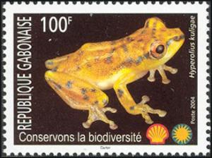 Colnect-1211-159-Frog-Hyperolius-kuligae.jpg