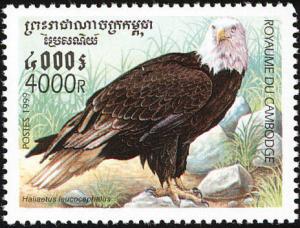 Colnect-1527-023-Bald-Eagle-nbsp-Haliae-euml-tus-leucocephalus.jpg