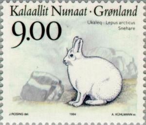 Colnect-158-529-Arctic-hare-Lepus-arcticus.jpg