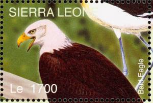 Colnect-1618-014-Bald-Eagle-Haliaeetus-leucocephalus.jpg
