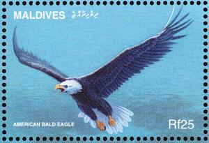 Colnect-1631-925-Bald-Eagle-Haliaeetus-leucocephalus.jpg