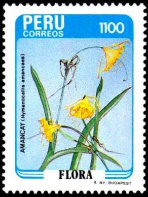 Colnect-1646-219-Flora---Hymenocallis-amancaes.jpg