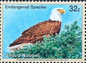 Colnect-2336-462-Bald-Eagle-Haliaeetus-leucocephalus.jpg