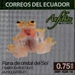 Colnect-3334-469-Atrato-Glass-Frog-Hyalinobatrachium-aureoguttatum.jpg