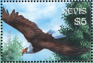Colnect-4562-560-Bald-Eagle-Haliaeetus-leucocephalus.jpg