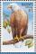 Colnect-1631-913-Bald-Eagle-Haliaeetus-leucocephalus.jpg