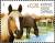 Colnect-1457-484-Cold-blooded-Horse-Equus-ferus-caballus.jpg