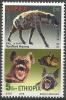 Colnect-5760-972-Spotted-Hyena-Crocuta-crocuta.jpg