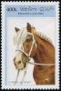 Colnect-2786-557-Cold-blooded-Horse-Equus-ferus-caballus.jpg