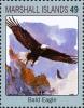 Colnect-5997-827-Bald-Eagle-Haliaeetus-leucocephalus.jpg