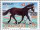 Colnect-157-496-Animal-Show---Horse-Equus-ferus-caballus.jpg