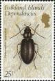 Colnect-1954-060-Beetle-Hydromedion-sparsutum.jpg
