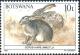 Colnect-2848-661-Scrub-Hare-Lepus-saxatilis.jpg