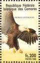 Colnect-3669-532-Bald-Eagle-Haliaeetus-leucocephalus.jpg
