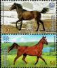 Colnect-4202-156-Novokyrgyz-Horse-and-Trakehner-Horse.jpg