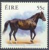 Colnect-1047-957-Thoroughbred-Horse-Equus-ferus-caballus.jpg