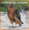 Colnect-5843-010-Galapagos-Hawk-Buteo-galapagoensis.jpg