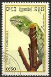 Colnect-1087-576-Green-Iguana-Iguana-iguana.jpg