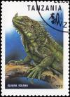 Colnect-3544-325-Green-Iguana-Iguana-iguana.jpg