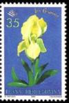 Colnect-559-533-Iris-Bosniaca.jpg