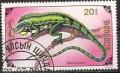 Colnect-1249-880-Green-Iguana-Iguana-iguana.jpg