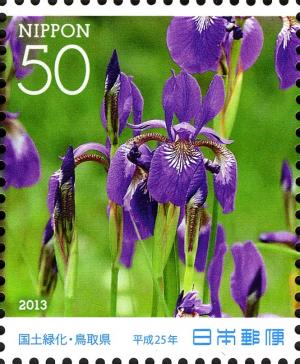 Colnect-3048-723-Iris-sanguinea.jpg