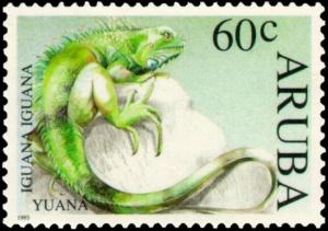 Colnect-3750-854-Green-Iguana-Iguana-iguana.jpg