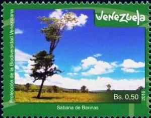 Colnect-4556-015-Savannah-in-the-state-of-Barinas.jpg