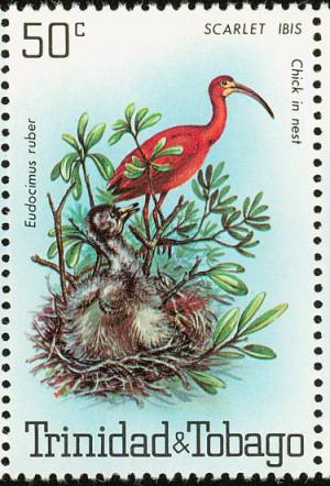Colnect-744-213-Scarlet-Ibis-Eudocimus-ruber.jpg