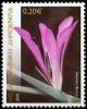 Colnect-1419-297-Gladiolus-illyricus-wild-gladiolus.jpg