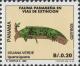 Colnect-3181-091-Green-Iguana-Iguana-iguana.jpg