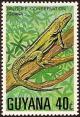 Colnect-3784-303-Green-Iguana-Iguana-iguana.jpg