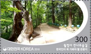 Colnect-3486-433-Woljeongsa-Jeonnamu-fir-Forest-Trail.jpg