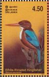 Colnect-2543-475-White-throated-Kingfisher-Halcyon-smyrnensis.jpg