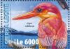 Colnect-3566-091-Rufous-backed-Kingfisher---Ceyx-rufidorsa.jpg