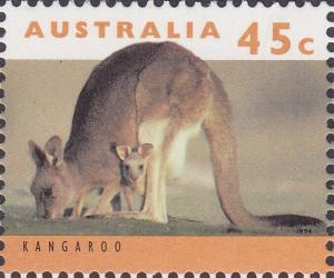 Colnect-6442-221-Eastern-Grey-Kangaroo-Macropus-giganteus.jpg