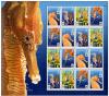Colnect-1340-522-Sheet-of-16-4-each---Lined-Seahorse-Hippocampus-erectus.jpg