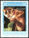 Colnect-2259-400-Pygmy-Slow-Loris-Nycticebus-pygmaeus.jpg