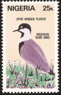 Colnect-2287-587-Spur-winged-Lapwing-Vanellus-spinosus.jpg