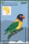 Colnect-4383-432-Yellow-collared-Lovebird-Agapornis-personatus.jpg