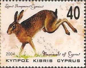 Colnect-620-409-European-Hare-Lepus-europaeus-ssp-cyprius.jpg