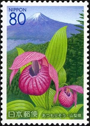 Colnect-901-513-Large-flowered-lady--s-slipper-and-Mt-Fuji.jpg