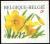 Colnect-5718-616-Wild-daffodil-Left-and-bottom-imperforate.jpg