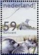 Colnect-702-573-European-Herring-Gull-Larus-argentatus-Harbor-Seal-Phoca.jpg