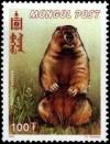 Colnect-2305-595-Bobak-Marmot-Marmota-bobak-ssp-sibirica.jpg