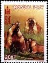 Colnect-2305-596-Bobak-Marmot-Marmota-bobak-ssp-sibirica.jpg