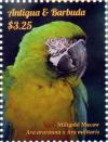 Colnect-2977-553-Miligold-macaw.jpg