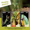 Colnect-5727-021-Giant-African-Mantis-Sphodromantis-viridis.jpg