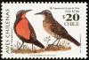 Colnect-6028-314-Long-tailed-Meadowlark-Sturnella-loyca.jpg