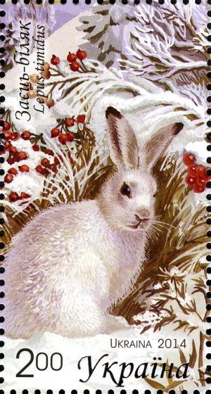 Colnect-2565-423-Mountain-Hare.jpg